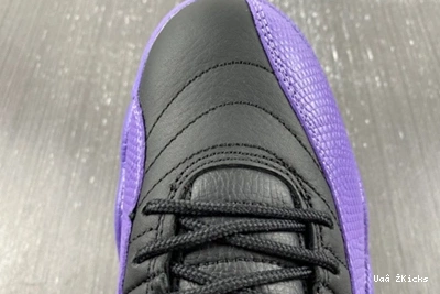 Jordan 739 Retro CT8013-057 EasyMatch Air 12 1117